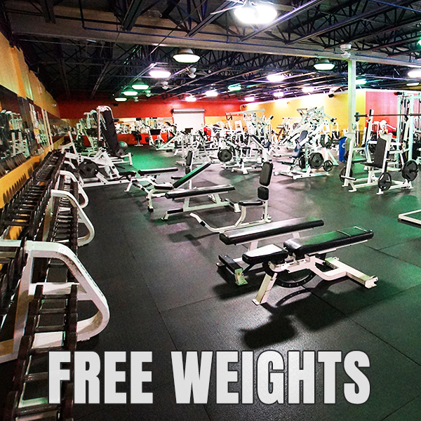 Tons of Free Weights