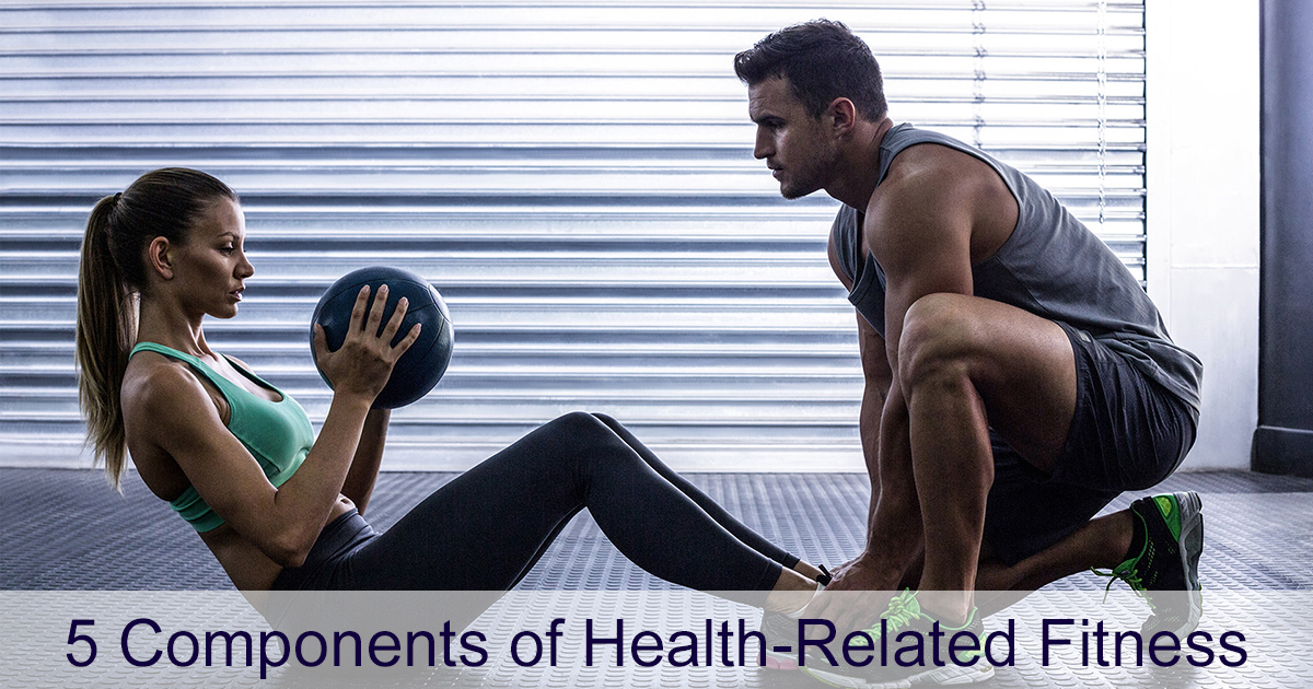 5 Components Of Health Related Fitness